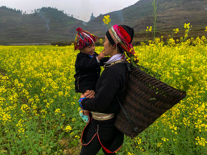 Thời tiết Hà Giang vào mùa xuân là thời điểm để bạn chiêm ngướng vẻ đẹp của hoa đào, hoa cải