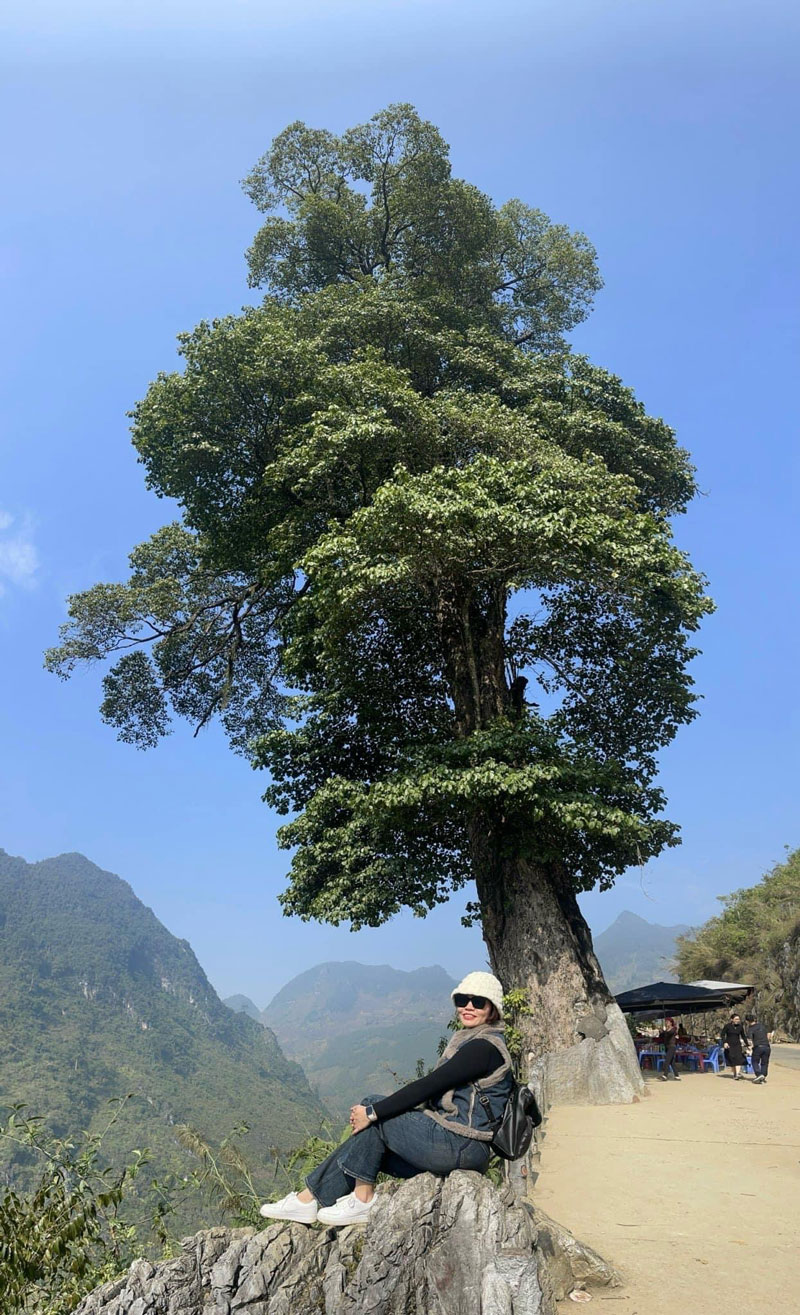 Tour Hà Giang 3 Ngày 2 Đêm - Khám phá vẻ đẹp hùng vĩ của cao nguyên đá
