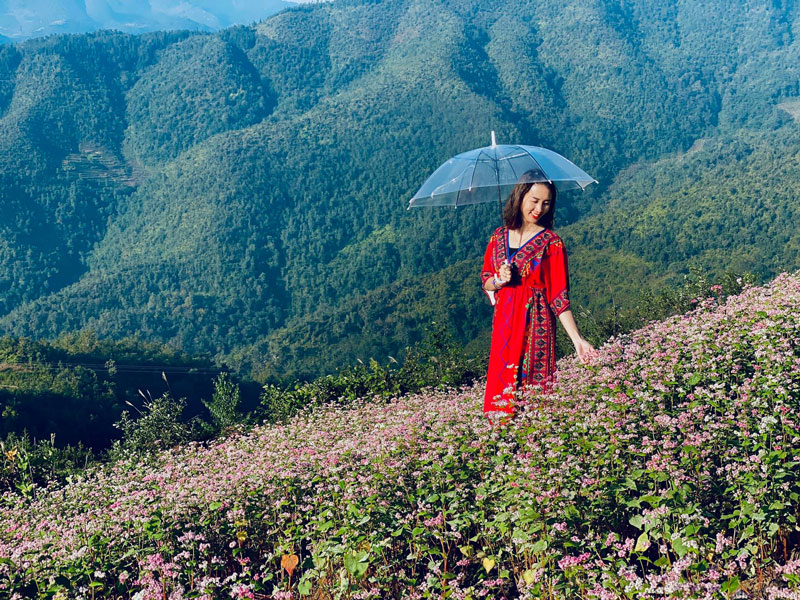Kinh nghiệm du lịch Hà Giang chi tiết dành cho người đi lần đầu.