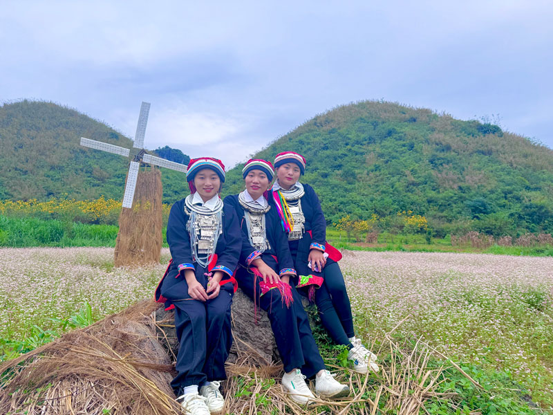 Du lịch Hà Giang mùa hoa tam giác mạch