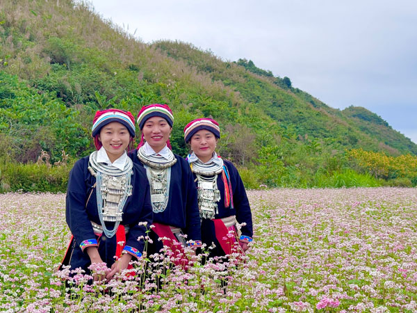 Du lịch Hà Giang mùa hoa tam giác mạch